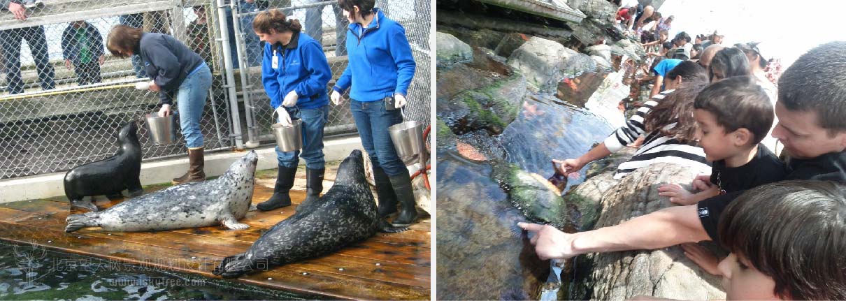 海洋水族館規(guī)劃